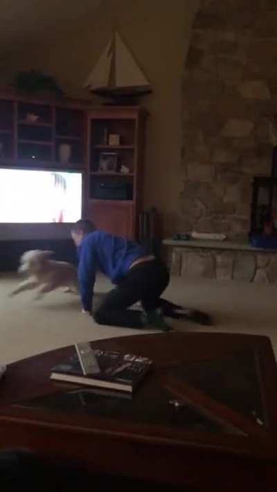 He roars she zooms!