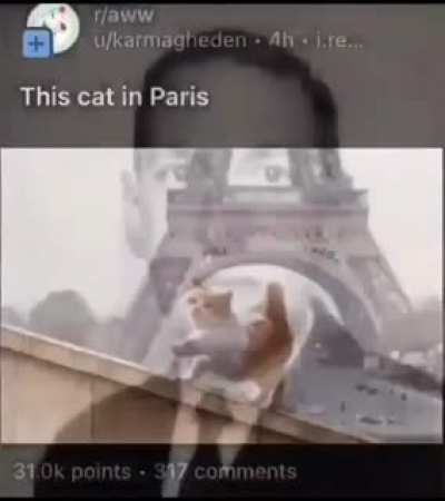 Oh god oh no oh fuck