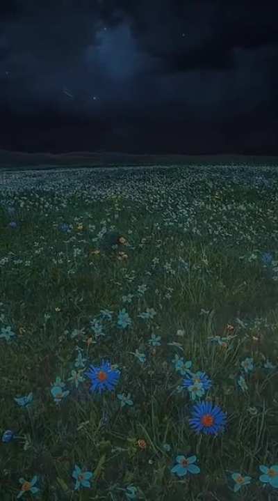 a medley sea, as far as the eye can witness
