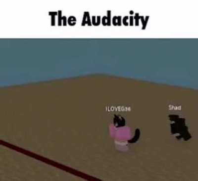 The Audacity