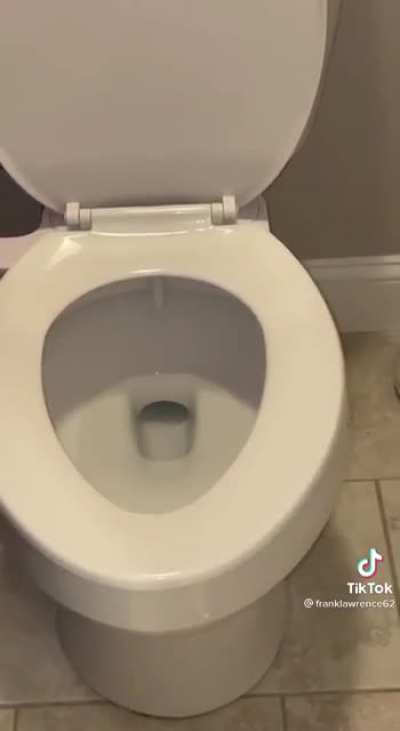 Bidet Maiden Voyage