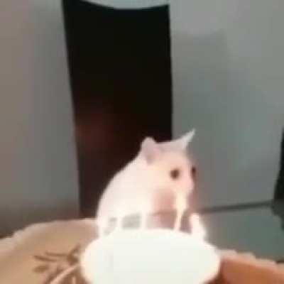 Huh?