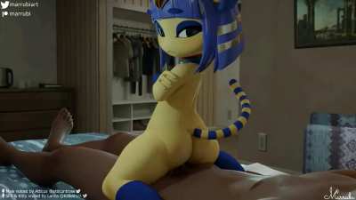 Ankha riding tonight, third person persp<wbr>ectiv<wbr>e(mar<wbr>rubi )