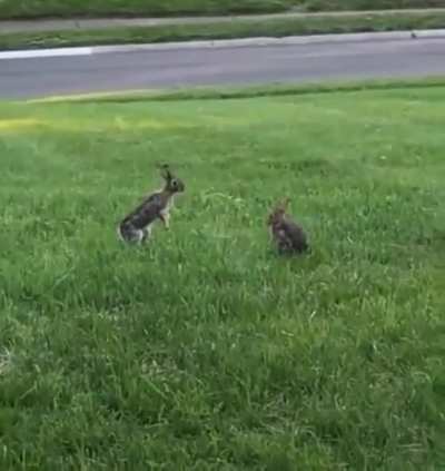 Everybody was kung fu fighting