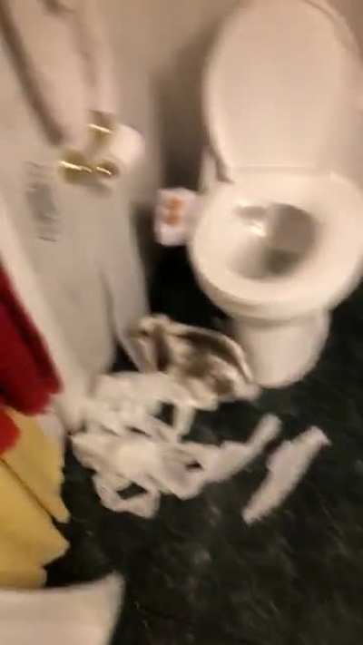 Don’t leave the bathroom door open🥴