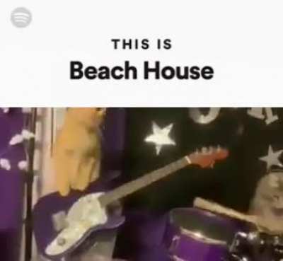 their best live performance