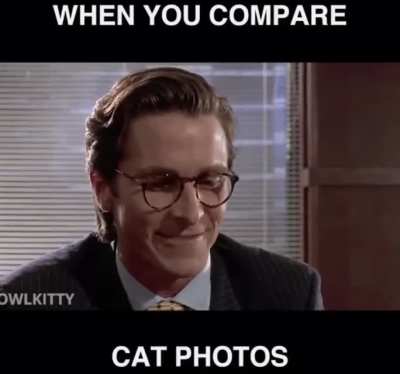 Cats to Compare