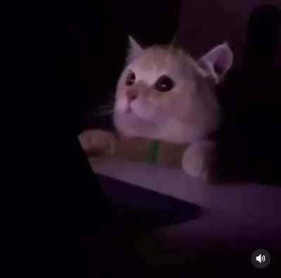 Cheeky cat interrupted