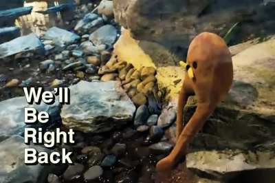 We'll Be Right Back