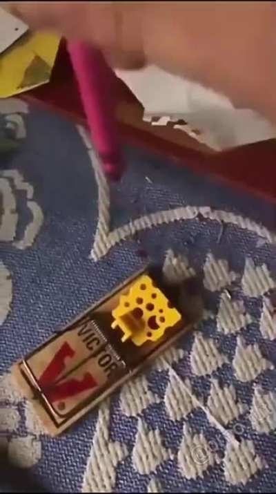 Testing out the mousetrap
