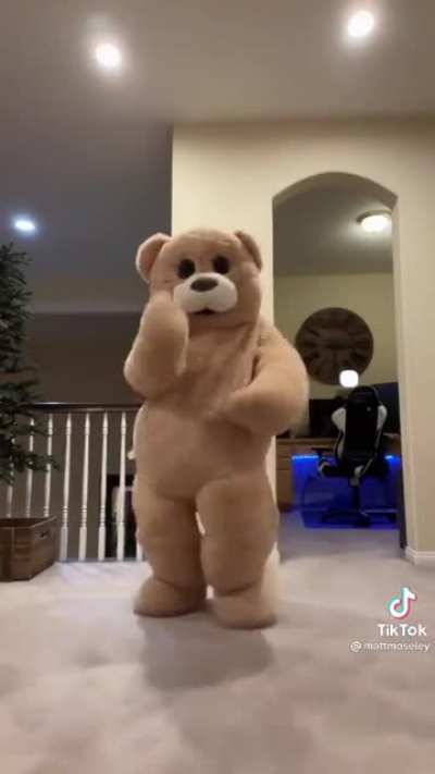 Never thought id ever feel inferior to a teddy bear's dance moves, but here we are