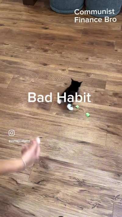 Wunk has his whole life planned out