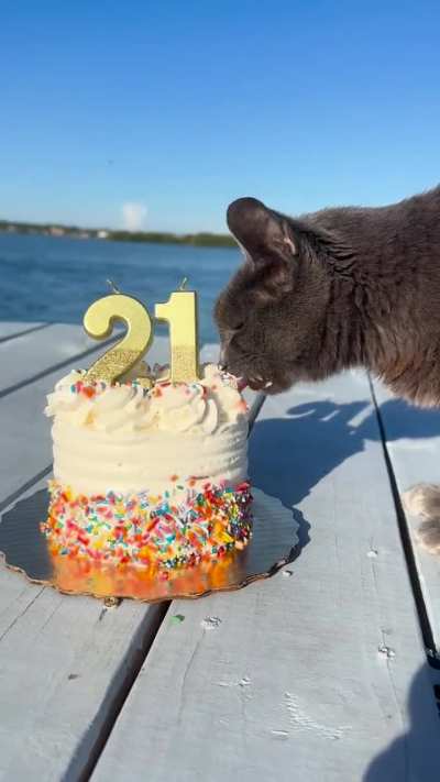 Happy Birthday Church (21)