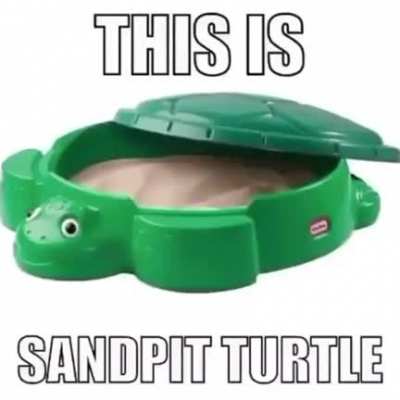 Sandpit turtle
