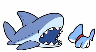 Shark_irl