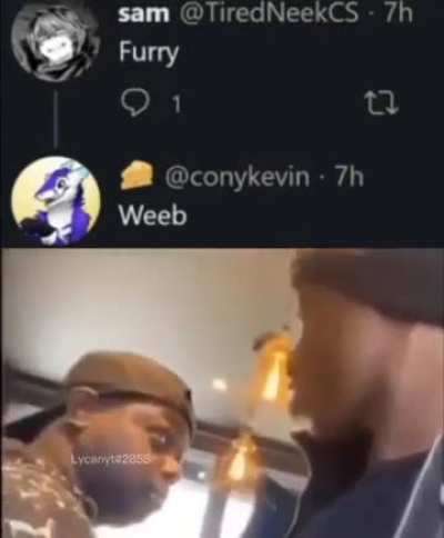 Losercity Beef