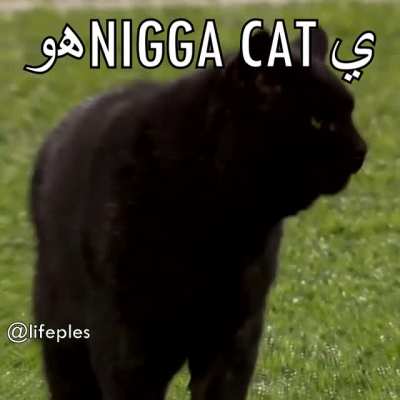 Əë