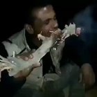 Eating Logs