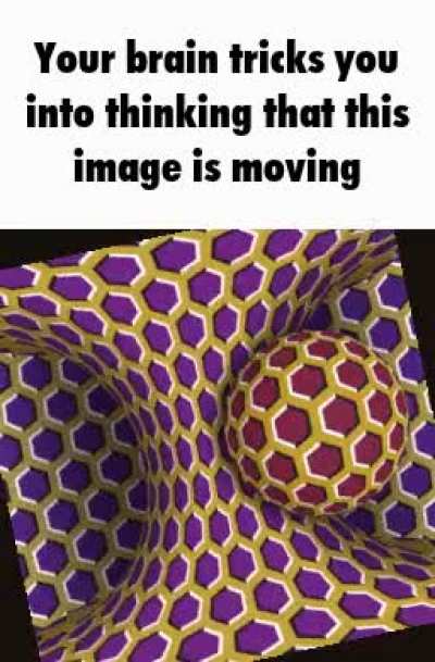 rule