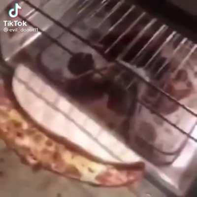 Checking the oven