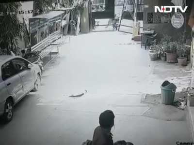 Trying to steal a bike
