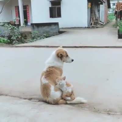Sister from a different mister