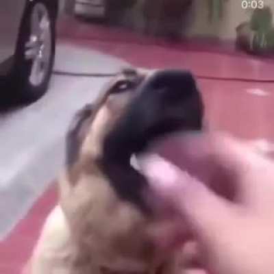 geddafuck outtahere...