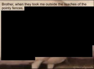 the saddest story ever told 