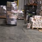 A raccoon broke into an alcohol supplier and got completely wasted