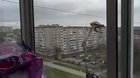 Выгляни в окно - как же прекрасен мир во время самоизоляции!