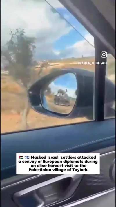 Masked Israeli “settlers” attacked and injured European diplomats during an Olive harvest.