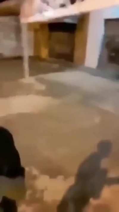 ._.XD