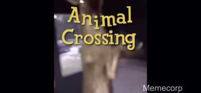 Animal Crossing.