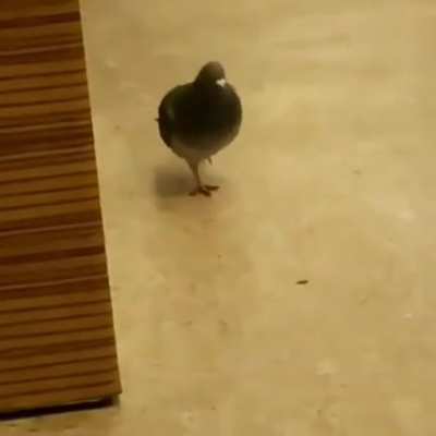 He walk