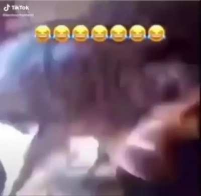 Foo😭😭😭