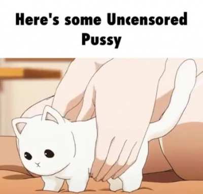 What anime is this?