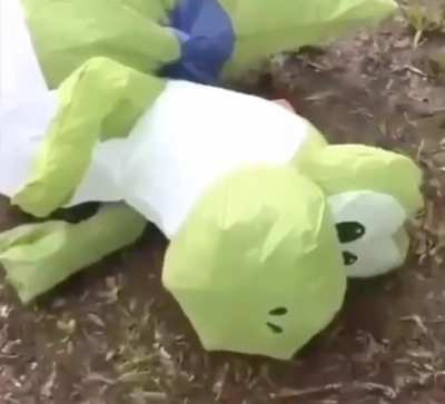 F