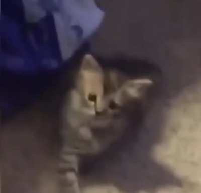 This is the next step in evolution