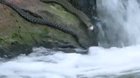 Three snakes went fishing one day...