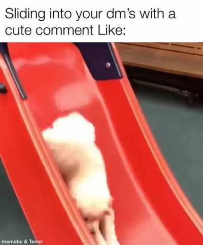 But she liked puppies yesterday?