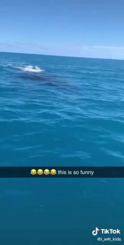 Is this a humpback?