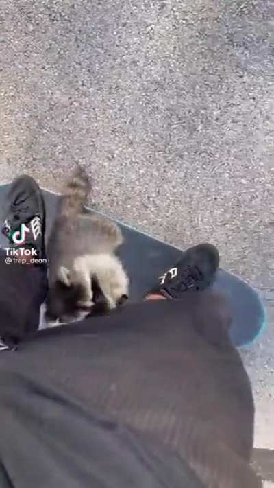 Skateboard
