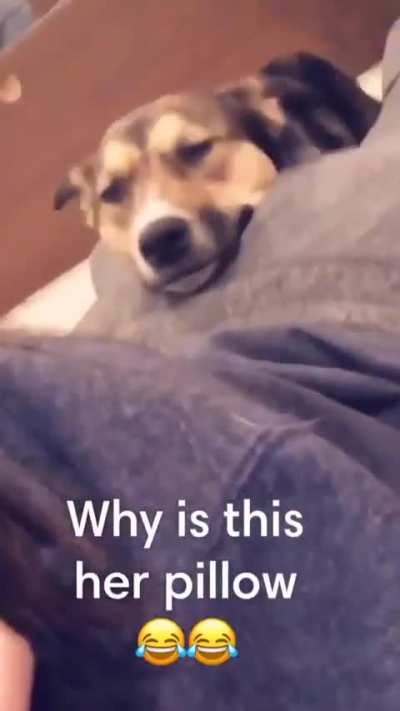 Alexis
