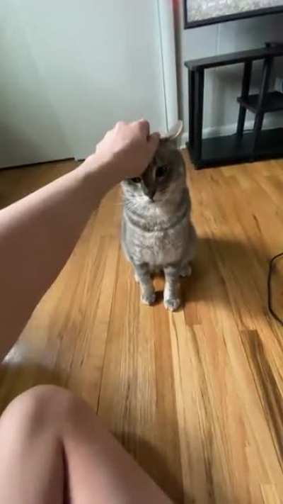 Â