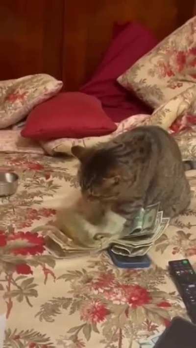 Counting money