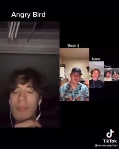 Angry bird