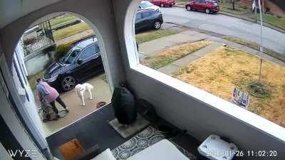 To tie up the dog