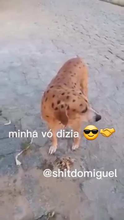 Boy u can see- AUOOOAAAAA