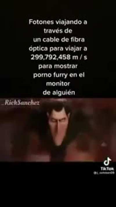 Xd
