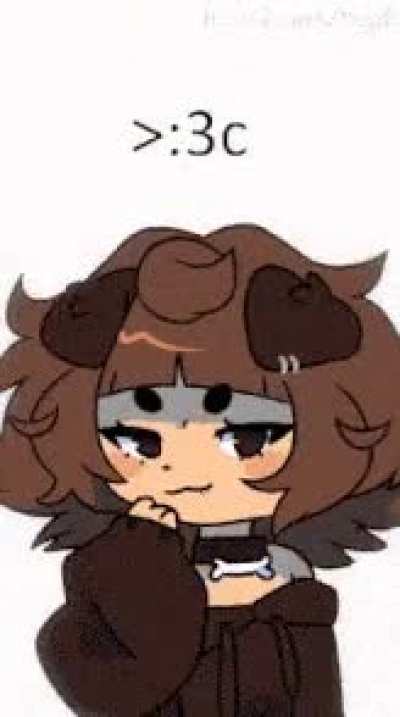 20442